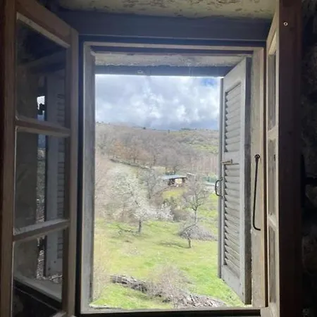 Apartment Casa Niulinca